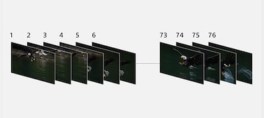 α7R III 35 mm 全片幅自動對焦相機 的圖片