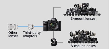 α7S II E 接環相機搭載 35 mm 全片幅感光元件 的圖片