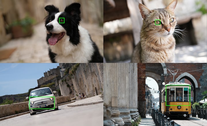 Example images showing subjects recognisable by the camera’s AI: dog, cat, car, train