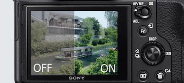 α7S II E 接環相機搭載 35 mm 全片幅感光元件 的圖片