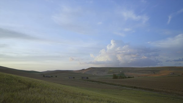 Example image showing video frame grab of meadow landscape