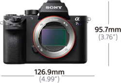 α7S II E 接環相機搭載 35 mm 全片幅感光元件 的圖片